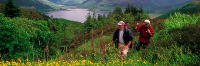  Camicrema por la colina
